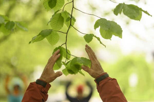 Veranstaltung: Meditation in Bewegung im Michael Ende Kurpark