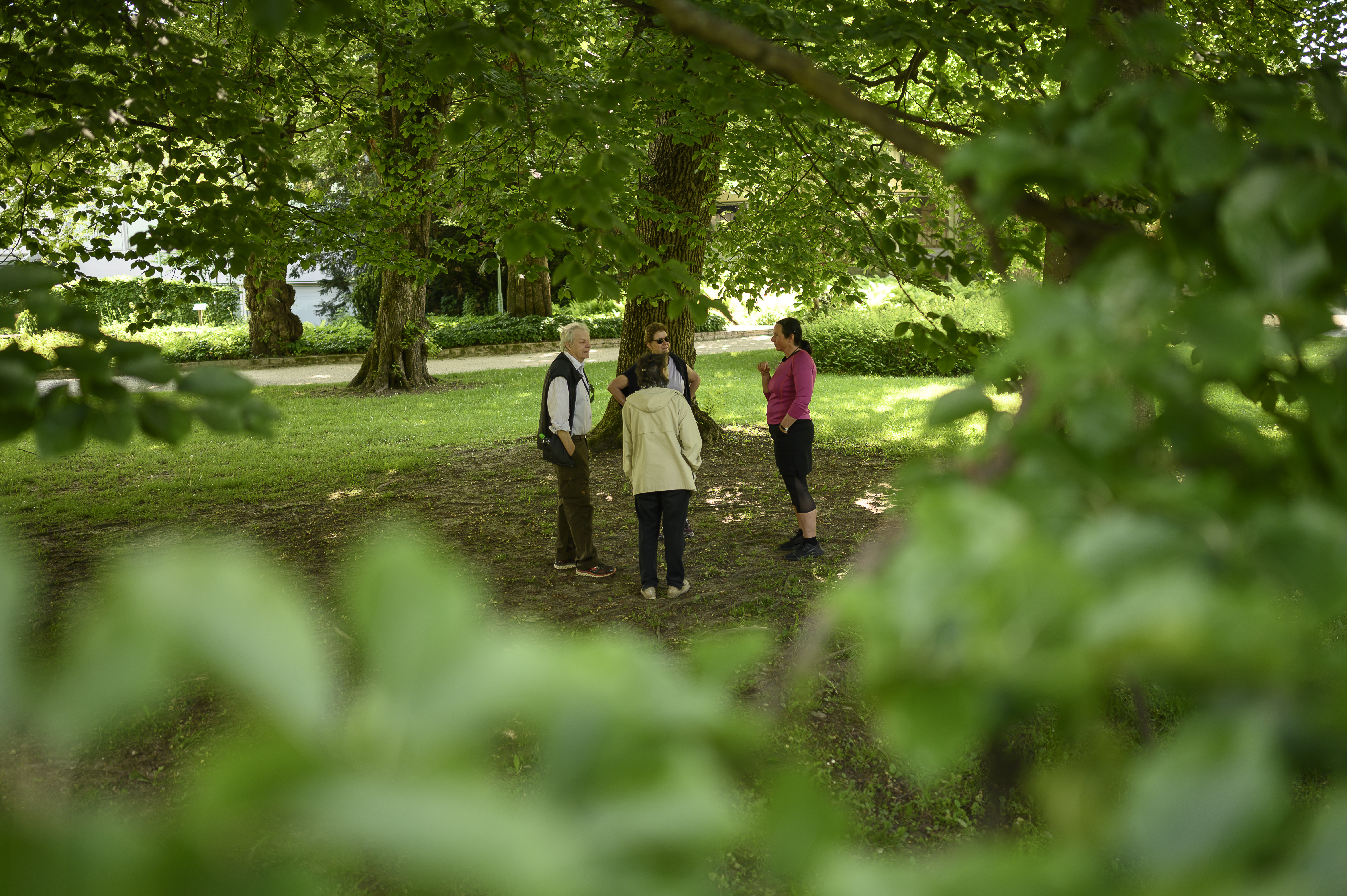 vier Personen zwischen Bäumen im Kurpark