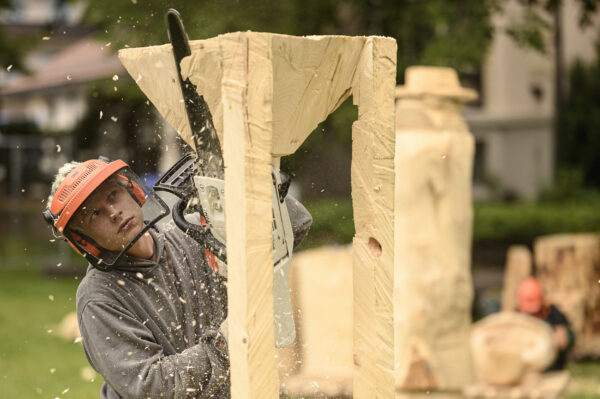 Holz erleben - Momo sehen